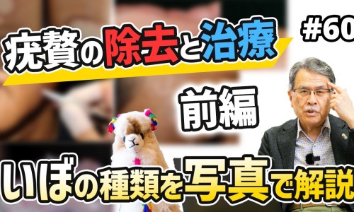 奥美拉唑功效与作用吃多少-奥美拉唑功效网 - 为你提供奥美拉唑功效作用与主治、奥美拉唑功效及吃法